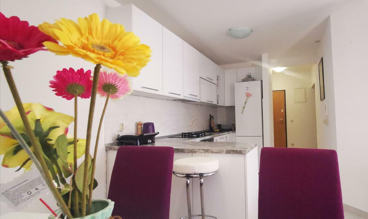 Apartment Dalmatia 马卡尔斯卡 外观 照片